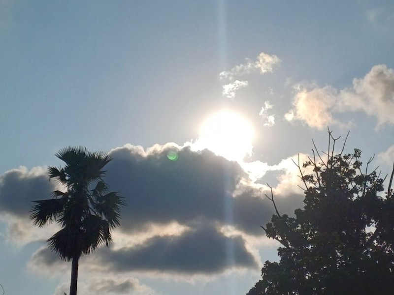 सुबह-शाम हल्की ठंड का अहसास