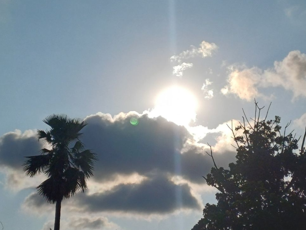 सुबह-शाम हल्की ठंड का अहसास