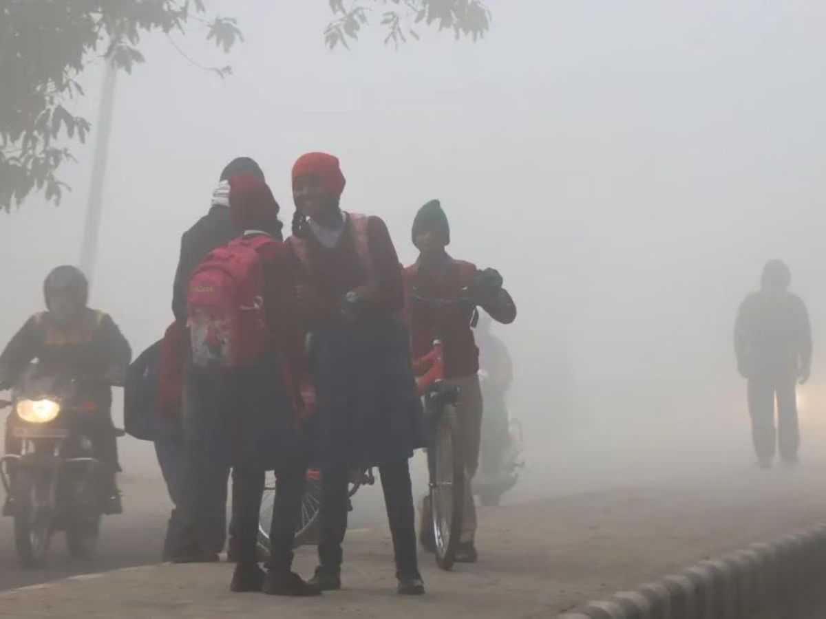 चक्रवात का असर