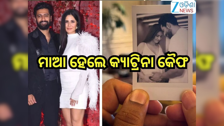 Entertainment News:ଖୁସି ଖବର ଦେଲେ କ୍ୟାଟ୍,ଘରକୁ ଆସିଲା କୁନି ଅତିଥି; ବାପା ହେଲେ ଭିକି କୌଶଲ