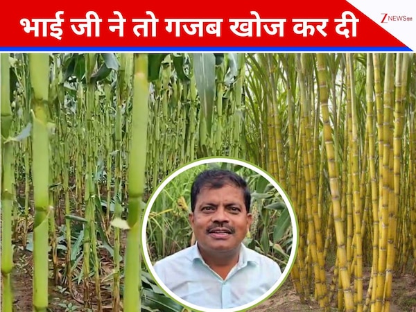 पहली बार गन्ने को मिला 'अन्ना', गाय-भैंस का चारा बनने वाले डंठल से बना दी कमाल की चीज