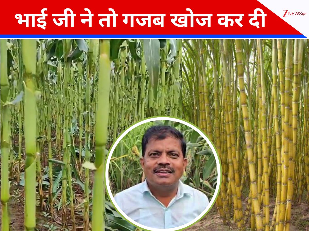 पहली बार गन्ने को मिला 'अन्ना', गाय-भैंस का चारा बनने वाले डंठल से बना दी कमाल की चीज पहली बार गन्ने को मिला 'अन्ना', गाय-भैंस का चारा बनने वाले डंठल से बना दी कमाल की चीज