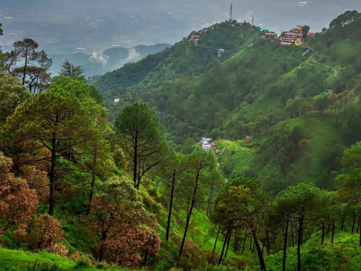 सोलन हिल स्टेशन (Solan Hill Station)