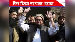 शहबाज के करीबी ने किया हाफिज सईद के प्रतिबंधित दफ्तर का दौरा, फिर बेनकाब हुआ पाक