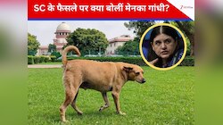 आवारा कुत्तों पर आया सुप्रीम कोर्ट का फैसला, तो मेनका गांधी ने उठाए सवाल, कही ये बात
