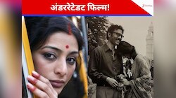 Irrfan Khan और Tabu की केमिस्ट्री ने मीरा नायर की इस पेशकश को बनाया खूबसूरत
