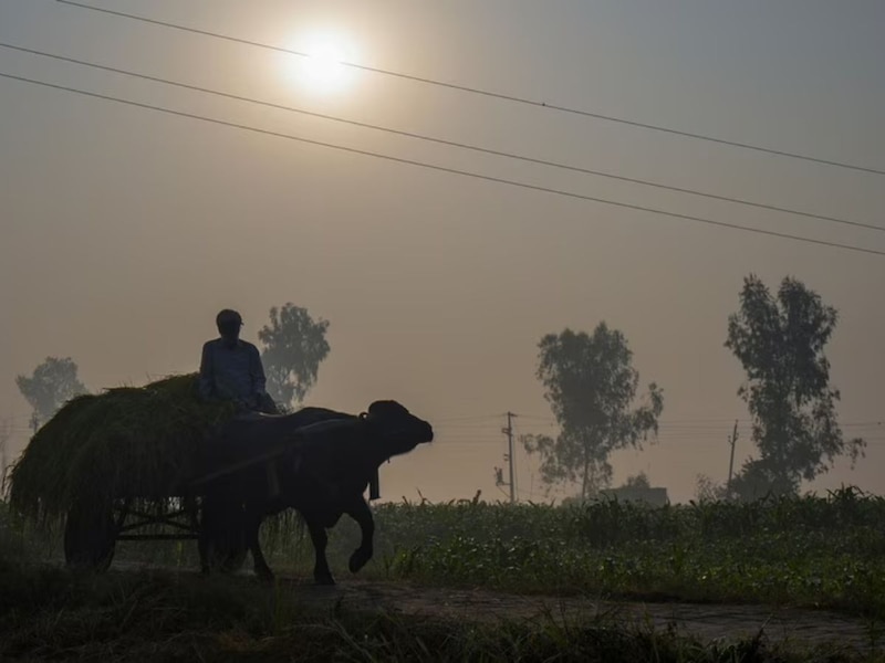 अधिकतम और न्यूनतम तापमान 