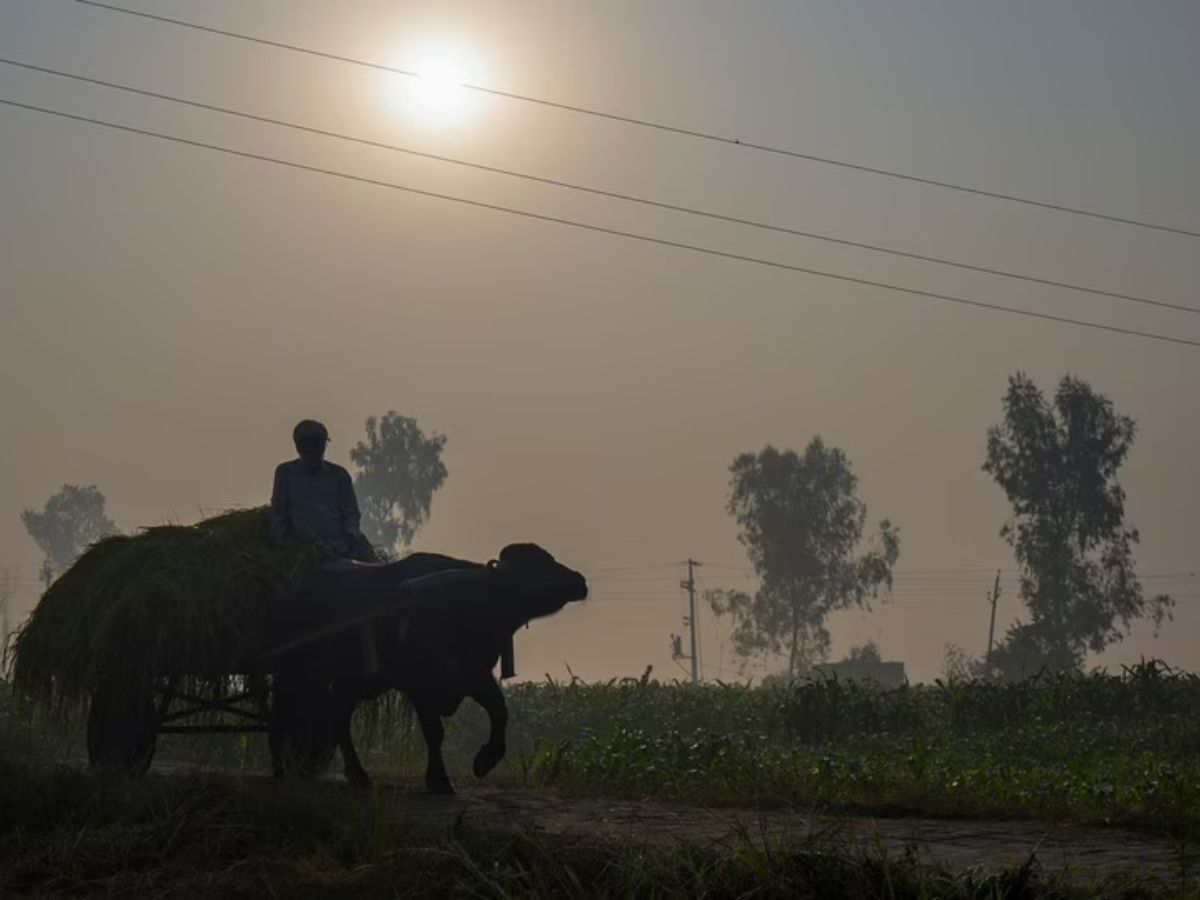 अधिकतम और न्यूनतम तापमान