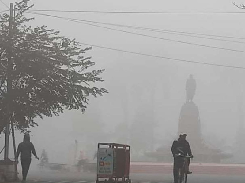 सर्दी का असर 