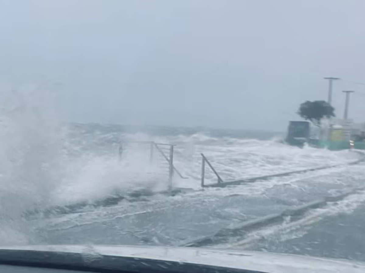 वेलिंगटन, न्यूजीलैंड