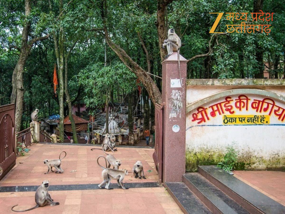 सर्दियों में घूमना