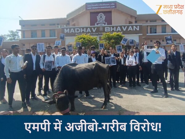 भैंस के साथ सड़क पर उतरे लॉ स्टूडेंट्स