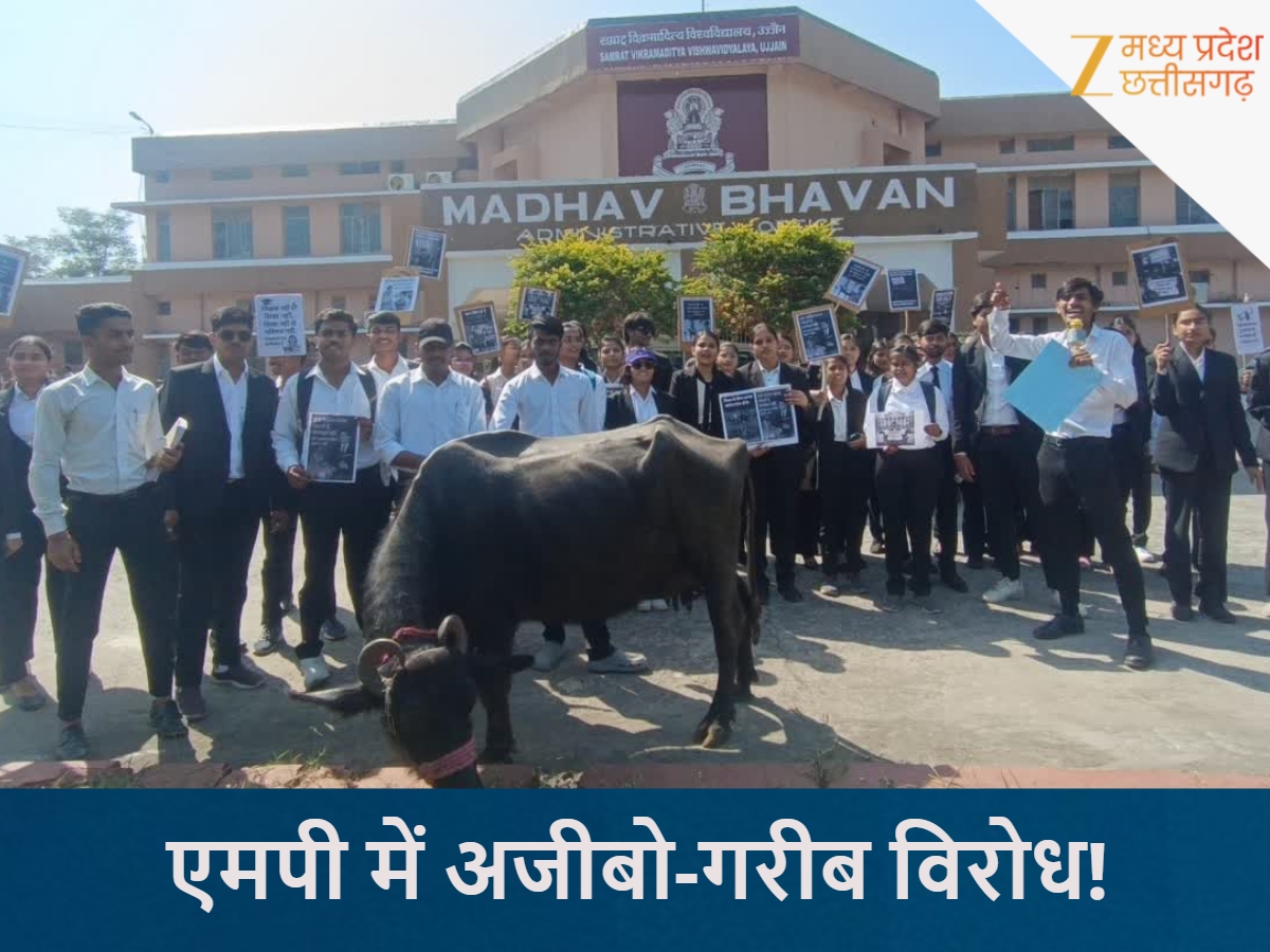 भैंस के साथ सड़क पर उतरे लॉ स्टूडेंट्स भैंस के साथ सड़क पर उतरे लॉ स्टूडेंट्स