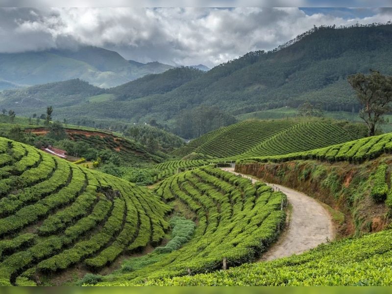 दार्जिलिंग (Darjeeling)