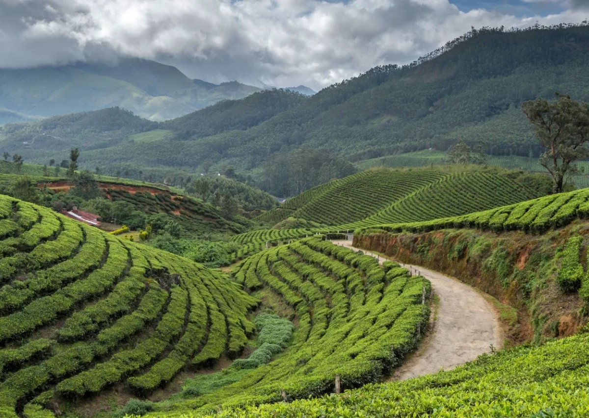 दार्जिलिंग (Darjeeling)