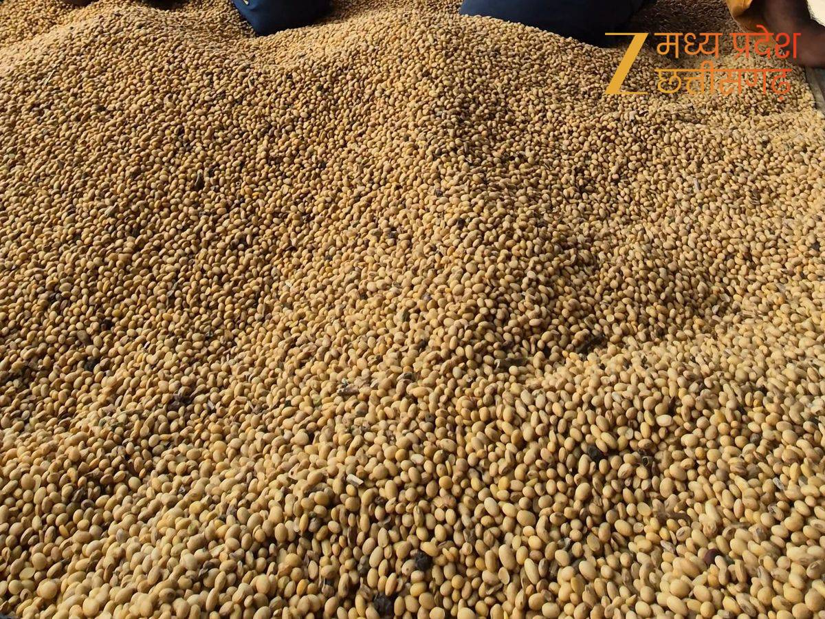 ये फसलें भी शामिल