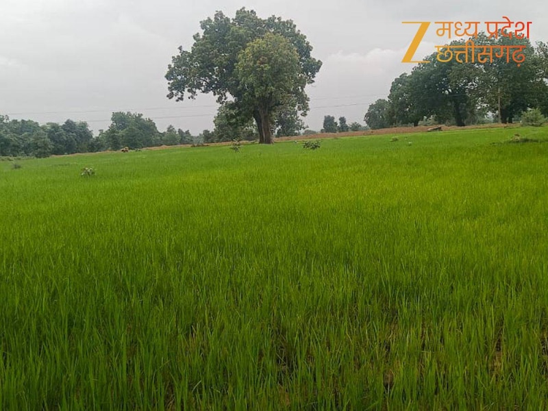 देवास दौरा