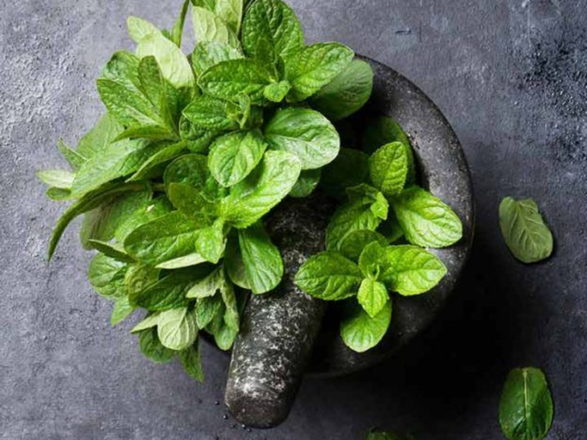 सामग्री