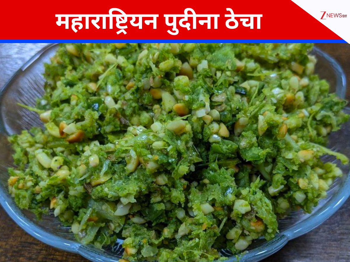 पुदीना ठेचा रेसिपी