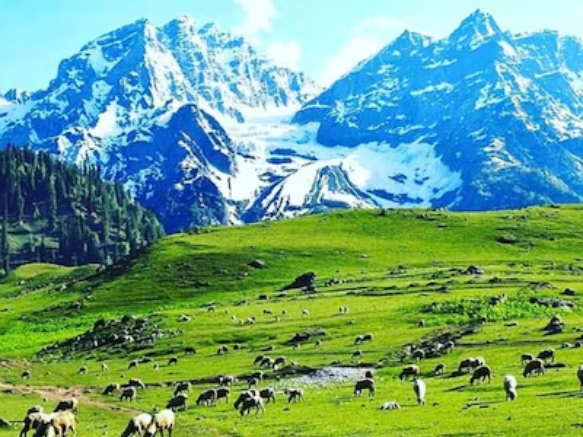 पहलगाम हिल स्टेशन (Pahalgam Hill Station)