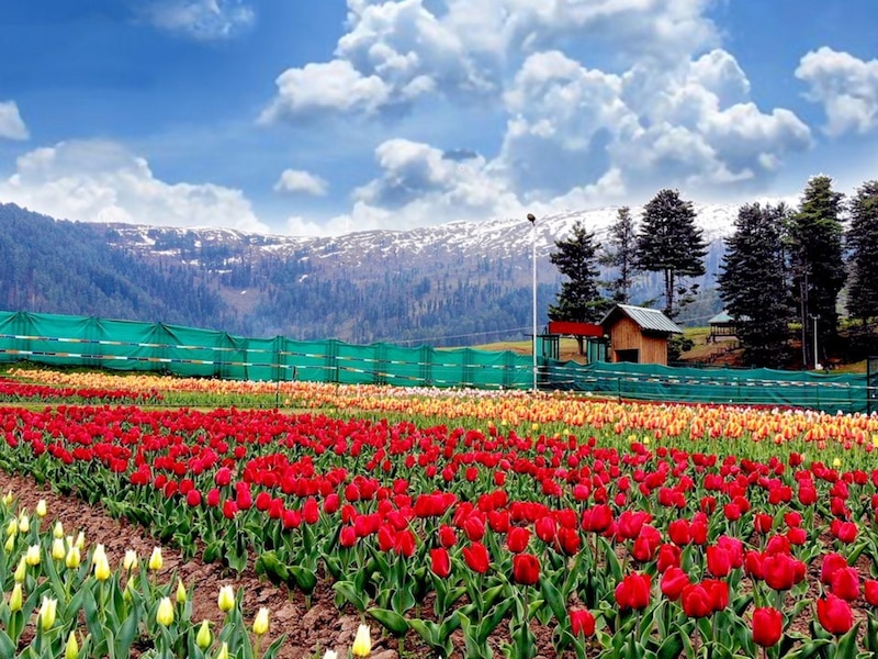 पटनीटॉप हिल स्टेशन (Patnitop Hill Station)