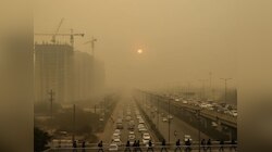 दिल्ली में AQI अभी भी 400 पार, स्कूल बंद, वर्क फ्रॉम होम का ऐलान, जानें नोएडा का हाल