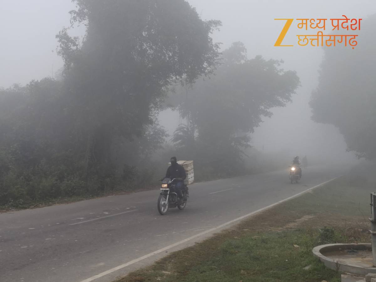 मैनपाट में जमी ओस