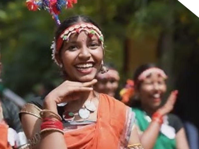 बोड़ी के बइल, घरजिया दमाद