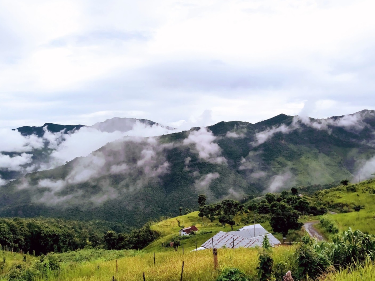 वोखा (Wokha)