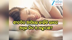 Winter Sleepiness:ଶୀତଦିନ ଆସିଲେ କାହିଁକି ଲାଗେ ଅଧିକ ନିଦ ଓ ଥକ୍କାପଣ? ଜାଣନ୍ତୁ ଏନେଇ କ'ଣ କହୁ