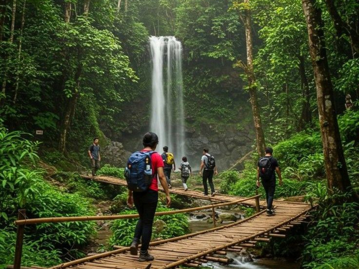 लाइव लोकेशन