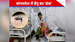 बांग्लादेश में थम नहीं रहा डेंगू से मौत का कहर, क्या है आंकड़े बढ़ने की असल वजह?
