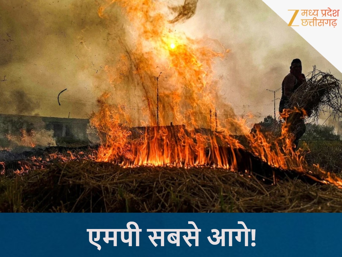 पंजाब-हरियाणा को एमपी ने पछाड़ा!