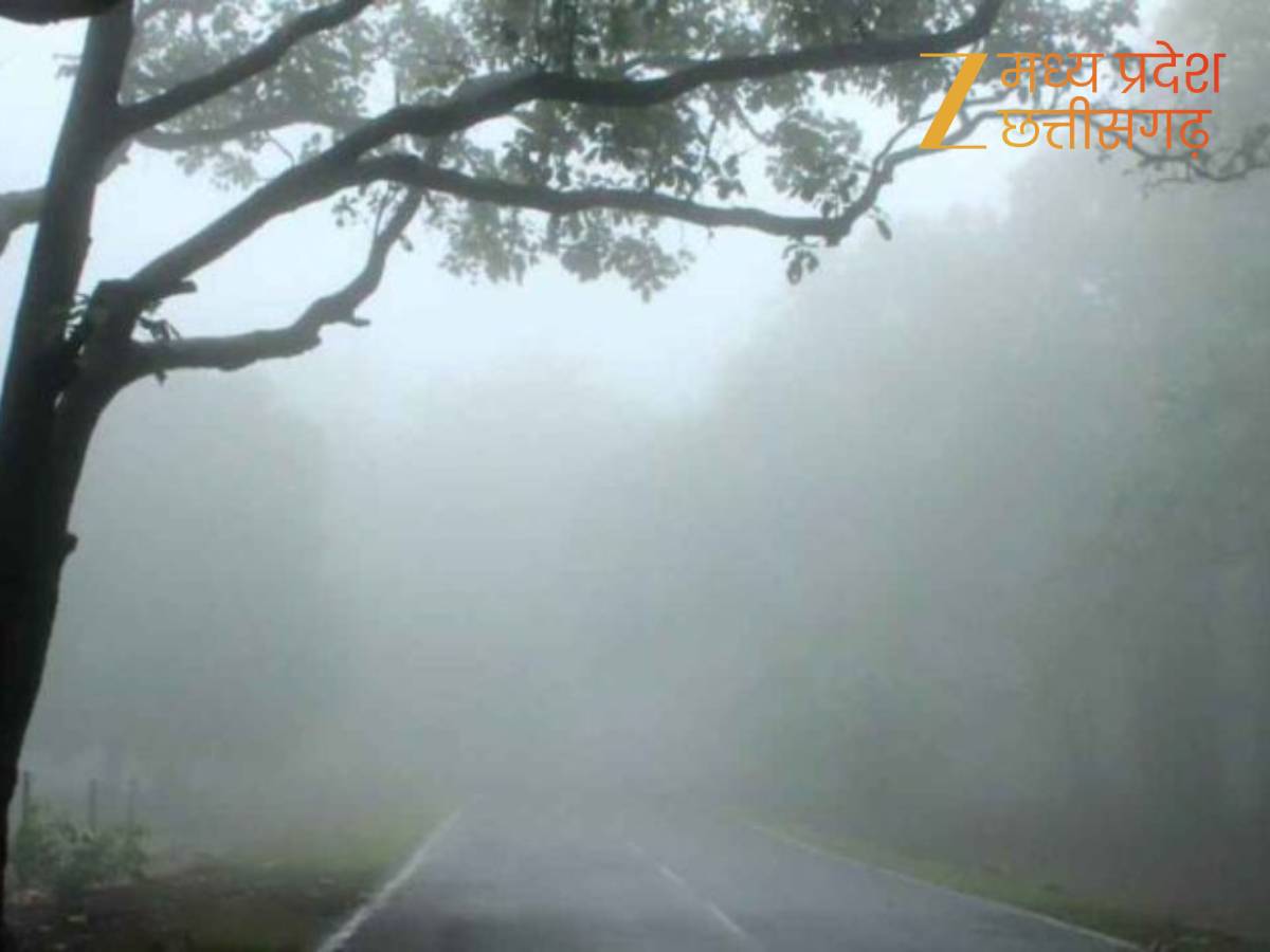 सुबह के वक्त कोहरा