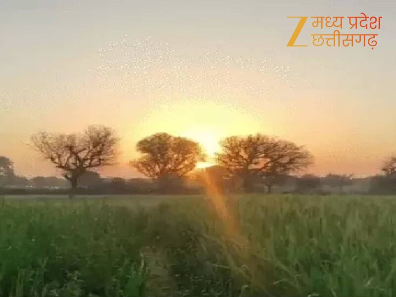 शीतलहर का अलर्ट