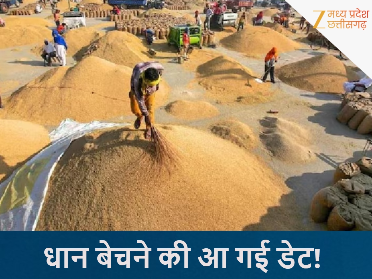 MSP पर धान बेचने की आ गई डेट! MSP पर धान बेचने की आ गई डेट!