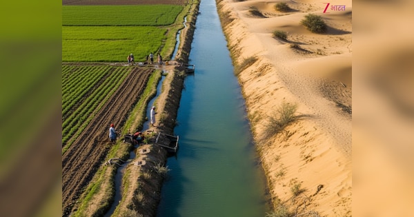 भारत की सबसे बड़ी नहर! जिसने बदल दिया थार का नक्शा; कभी उड़ती थी रेत, आज सोना उगलते हैं खेत