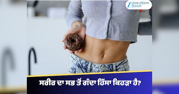 Dirtiest Body Part: ਸਰੀਰ ਦਾ ਸਭ ਤੋਂ ਗੰਦਾ ਹਿੱਸਾ ਕਿਹੜਾ ਹੈ? ਨਹਾਉਣ ਤੋਂ ਬਾਅਦ