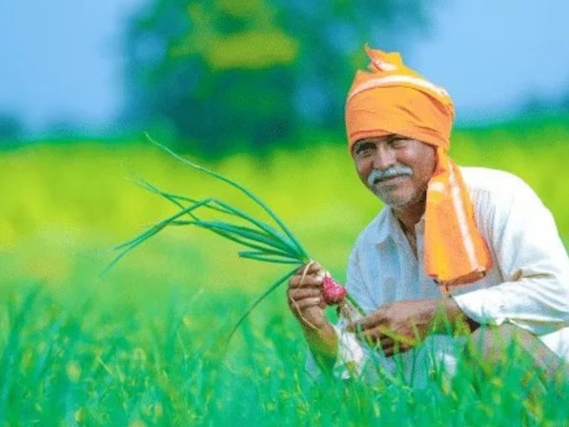 लगातार बढ़ोतरी जारी
