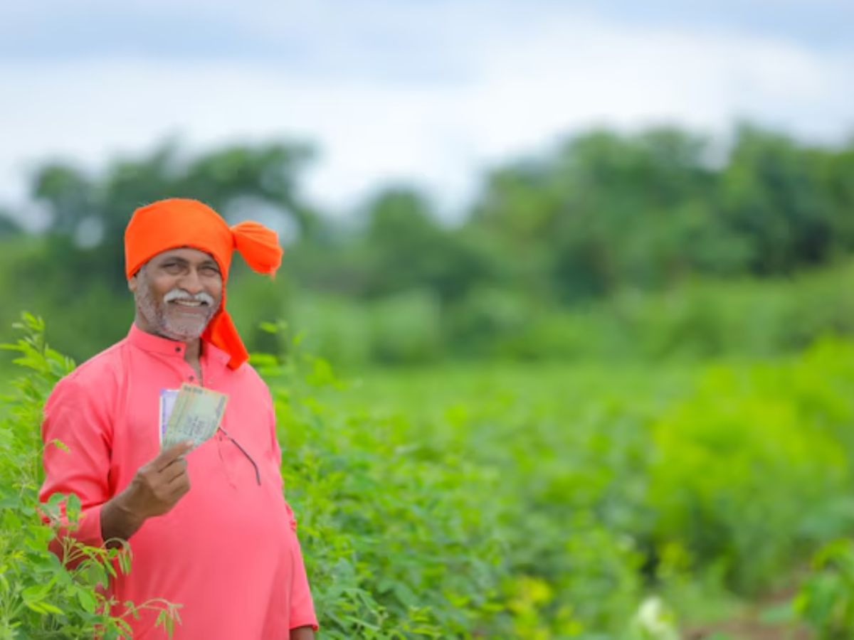 मॉडल रेट का फायदा