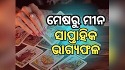 Weekly Tarot Reading: ନଭେମ୍ବର ୧୭ରୁ ୨୩ ମଧ୍ୟରେ ମାଳବ୍ୟ ରାଜଯୋଗ, ପଢନ୍ତୁ ନିଜ ରାଶିଫଳ