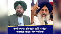ਸੁਖਬੀਰ ਬਾਦਲ ਗੈਂਗਸਟਰਾਂ ਜ਼ਰੀਏ ਕਰ ਰਿਹੈ ਰਾਜਨੀਤੀ-ਕੁਲਦੀਪ ਸਿੰਘ ਧਾਲੀਵਾਲ