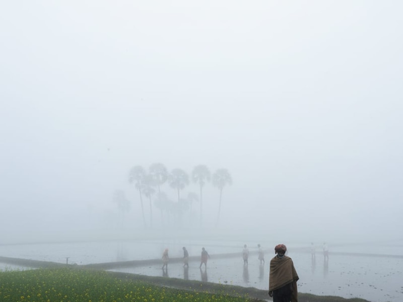 हवा की गुणवत्ता
