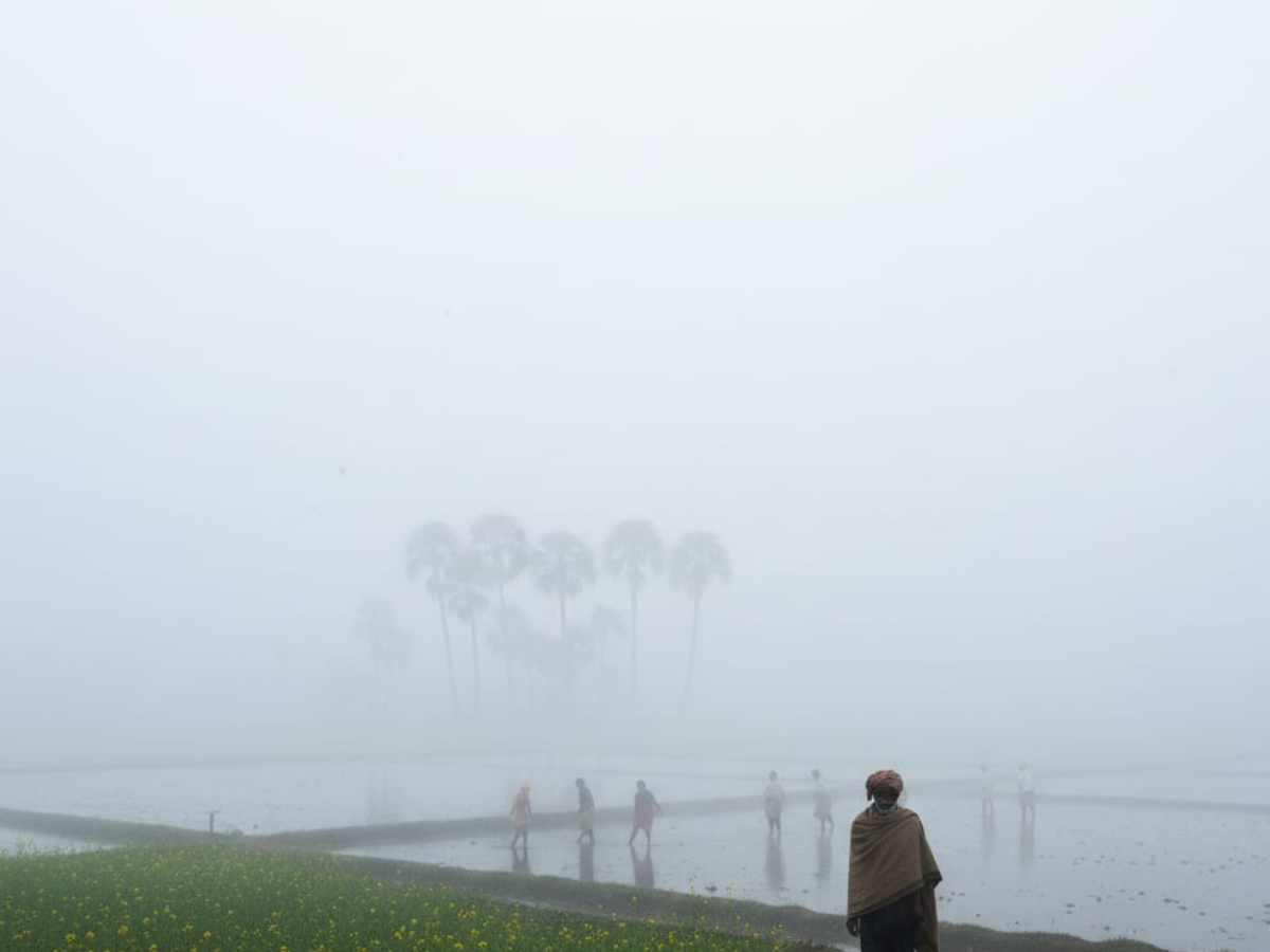 हवा की गुणवत्ता