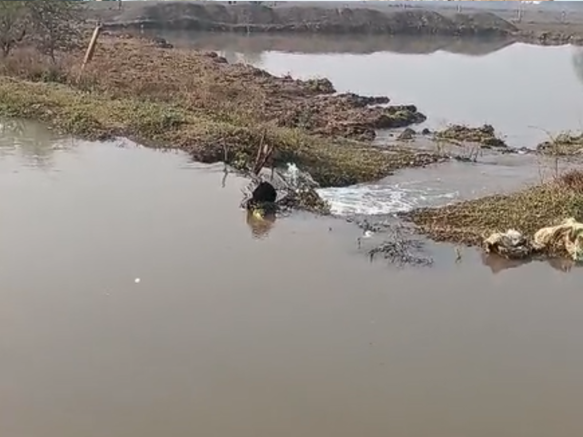 Lalitpur News: ललितपुर के खेतों में सुनामी! नहर फटने से अन्नदाता की फसल जलमग्न, सिंचाई विभाग की भूल या किसान की लापरवाही Lalitpur News: ललितपुर के खेतों में सुनामी! नहर फटने से अन्नदाता की फसल जलमग्न, सिंचाई विभाग की भूल या किसान की लापरवाही