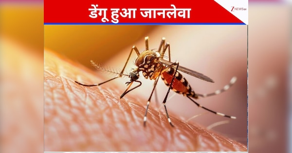 डेंगू का डंक इस देश पर पड़ रहा बहुत भारी, अब तक 243 लोगों की ले ली जान; 86000 लोग हुए बीमार
