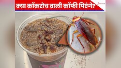 क्या आपने कभी पी है कॉकरोच वाली कॉफी? यहां बिक रही है ये खतरनाक ड्रिंक
