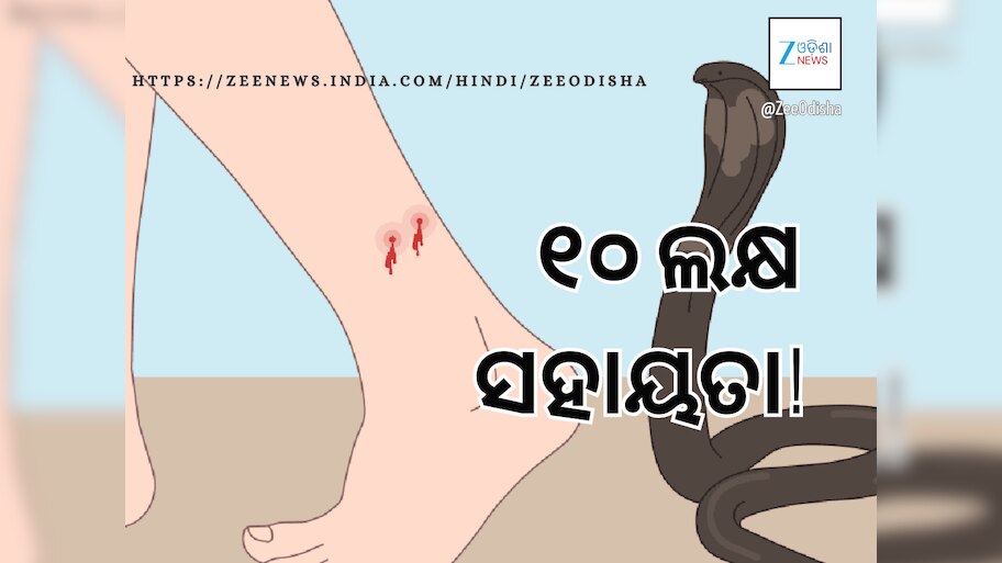ବଢ଼ିବ ସ୍ଥାନୀୟ ବିପର୍ଯ୍ୟୟର କ୍ଷତିପୂରଣ: ସାପକାମୁଡ଼ା ପାଇଁ ୧୦ ଲକ୍ଷ