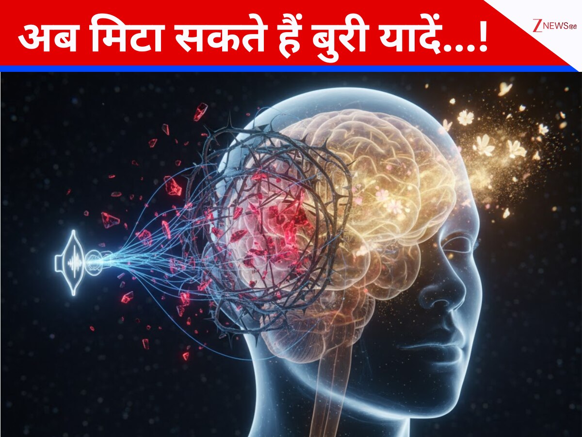scientists find ways to erase bad memories for brain science news ...