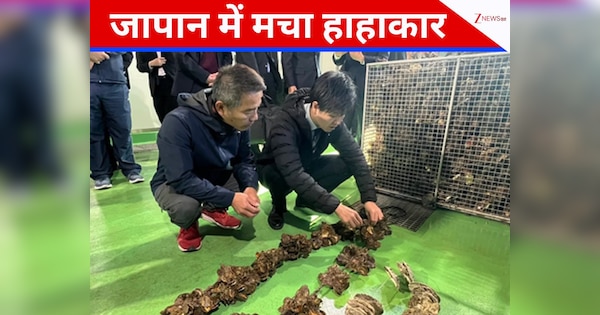 JAPAN: समुद्र में आई गर्मी से संकट में हिरोशिमा के किसान, चौपट हो रहा ऑयस्टर का धंधा; मचा हड़कंप